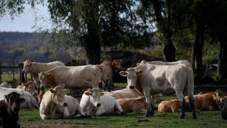 Le prix moyen/ha d'un terrain agricole était de 26.000 euros en 2018