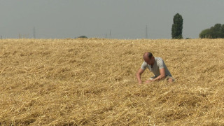 Foire de Libramont : Comment les agriculteurs wallons assurent la transition vers le bio ?