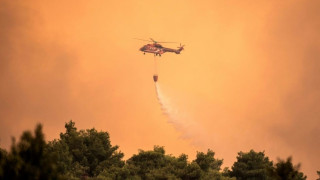 Grèce: "Catastrophe écologique" sur l'île d'Eubée ravagée par les flammes