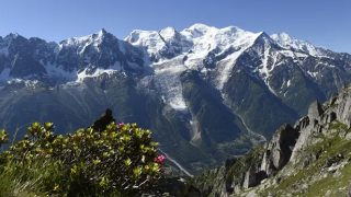 Ecological Warning: Alps Are Turning Green Due to Global heating