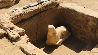 A Historical Discovery! A Sphinx-like Statue Found in Egypt